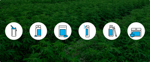 How to Consume Cannabis Concentrates, Oil, and Isolates