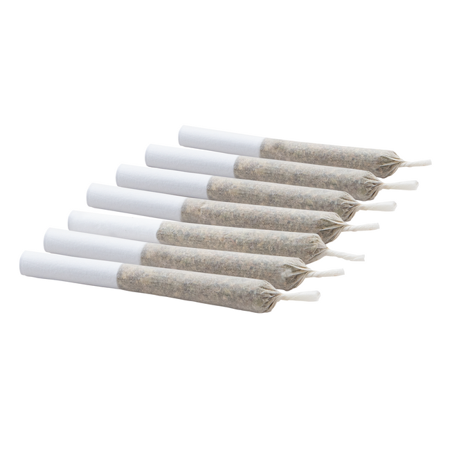 Ponderosa Pine Pre-Rolls